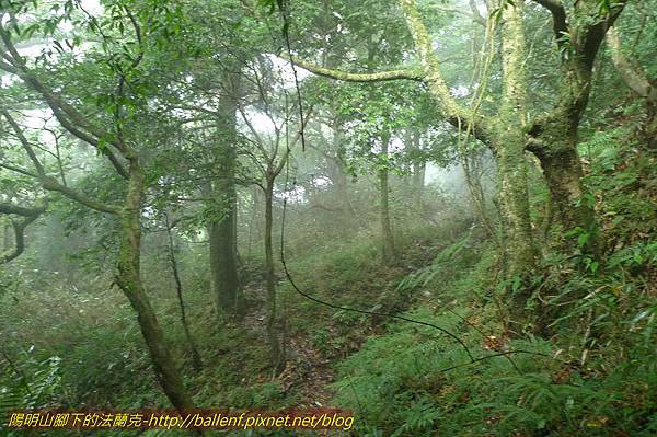 P1260596.jpg P1260596.jpg