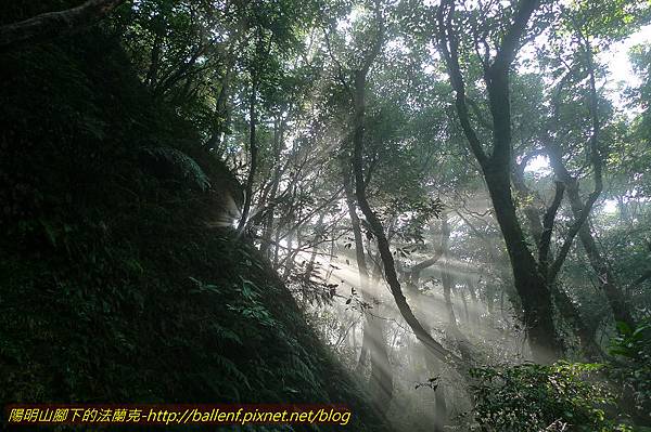 P1260613.jpg P1260613.jpg