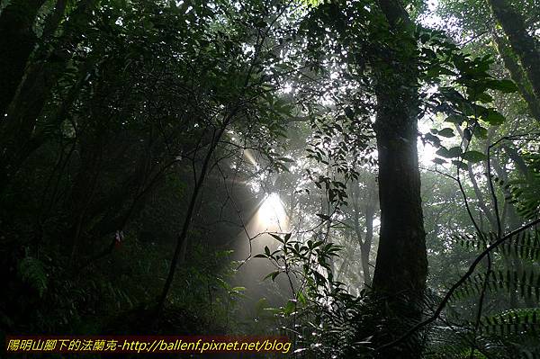 P1260618.jpg P1260618.jpg