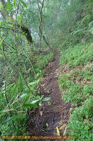 P1260622.jpg P1260622.jpg