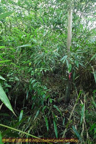 P1260628.jpg P1260628.jpg