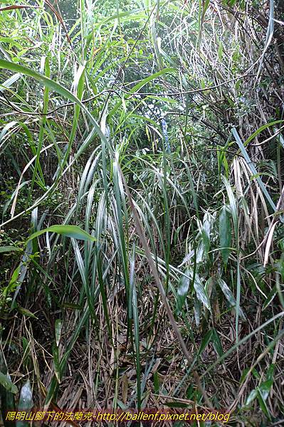 P1260630.jpg P1260630.jpg