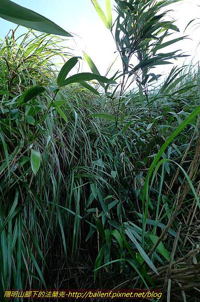 P1260657.jpg P1260657.jpg