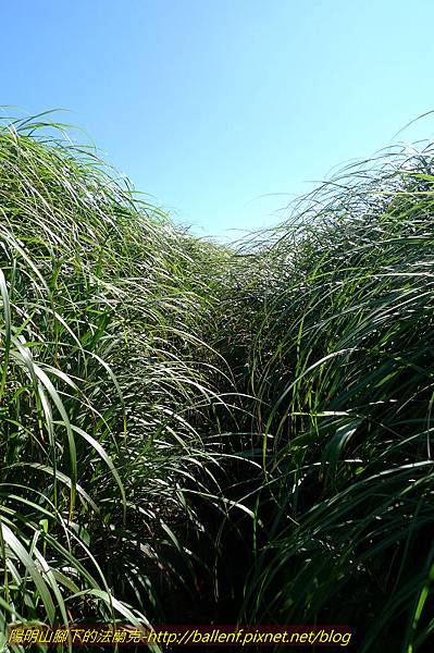 P1260662.jpg P1260662.jpg