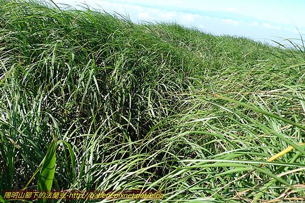 P1260666.jpg P1260666.jpg