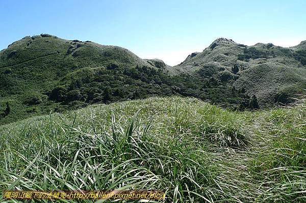 P1260667.jpg P1260667.jpg