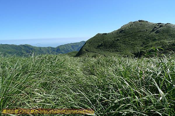 P1260668.jpg P1260668.jpg