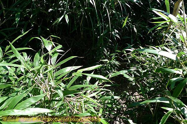 P1260669.jpg P1260669.jpg