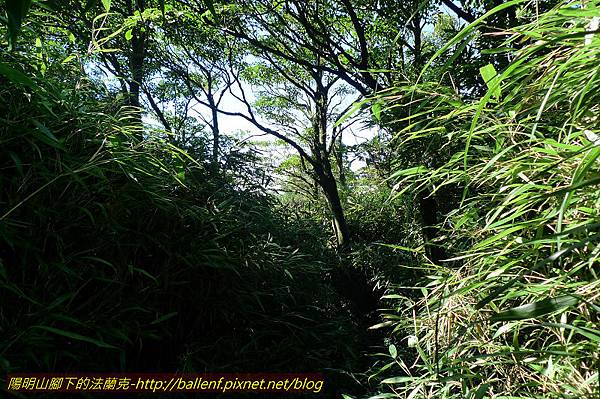 P1260670.jpg P1260670.jpg