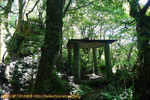 P1260678.jpg P1260678.jpg