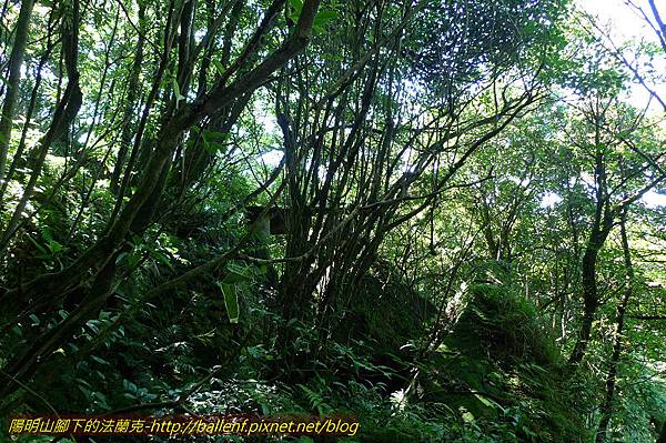 P1260680.jpg P1260680.jpg