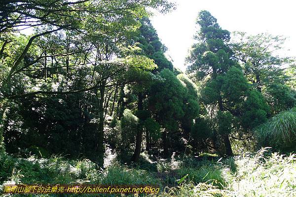 P1260683.jpg P1260683.jpg