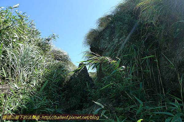 P1260690.jpg P1260690.jpg