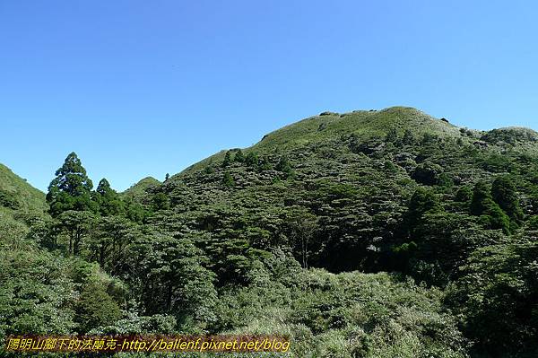 P1260699.jpg P1260699.jpg