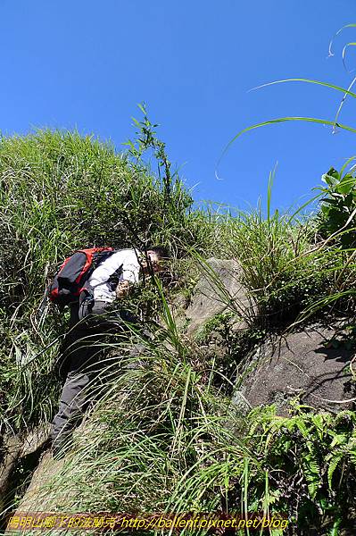 P1260700.jpg P1260700.jpg