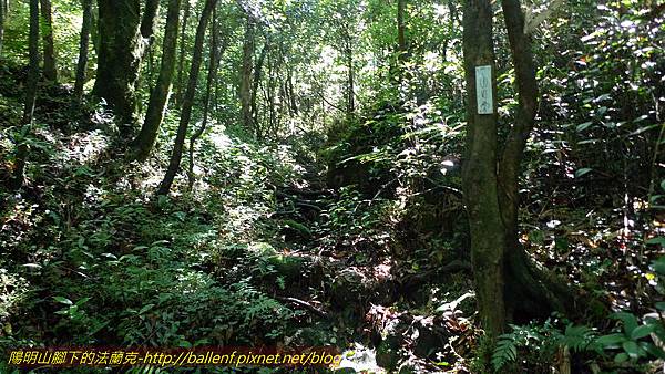 P1260714.jpg P1260714.jpg