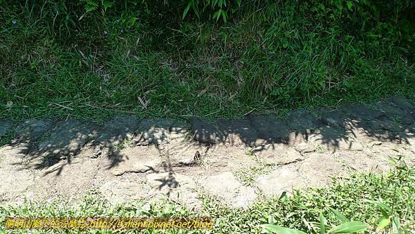 P1260717.jpg P1260717.jpg