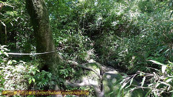 P1260725.jpg P1260725.jpg