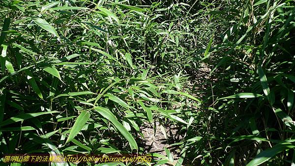 P1260726.jpg P1260726.jpg