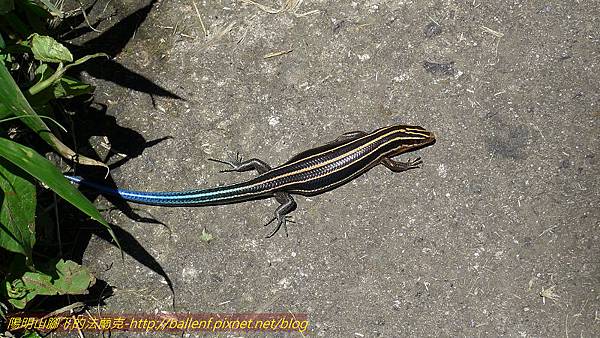 P1260763.jpg P1260763.jpg