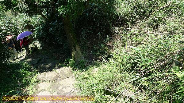 P1260769.jpg P1260769.jpg