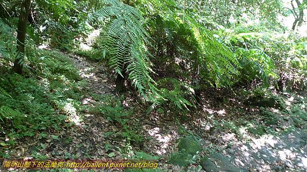 P1260776.jpg P1260776.jpg