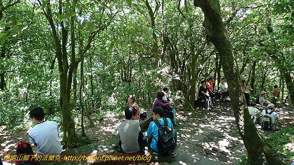 P1260781.jpg P1260781.jpg