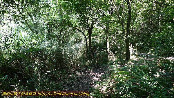 P1260782.jpg P1260782.jpg