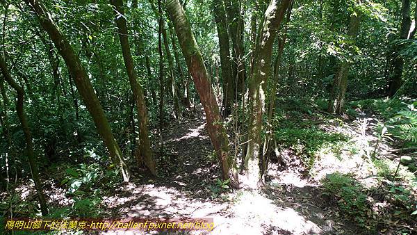 P1260784.jpg P1260784.jpg