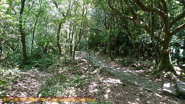 P1260789.jpg P1260789.jpg