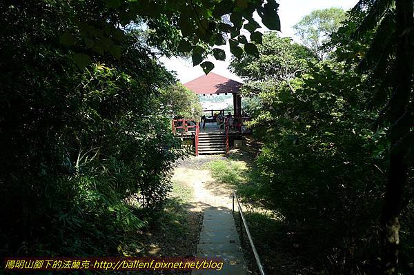 P1260928.jpg