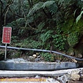 P1270654.jpg