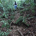 P1270673.jpg
