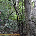 P1270674.jpg