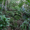 P1270676.jpg