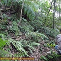 P1270678.jpg