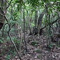 P1270686.jpg