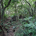 P1270687.jpg