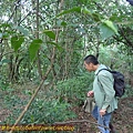 P1270699.jpg
