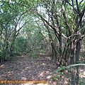 P1270700.jpg