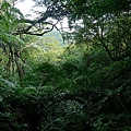 P1270708.jpg