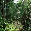 P1270745.jpg