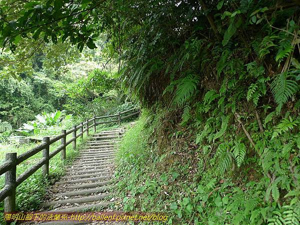 P1300515.jpg P1300515.jpg