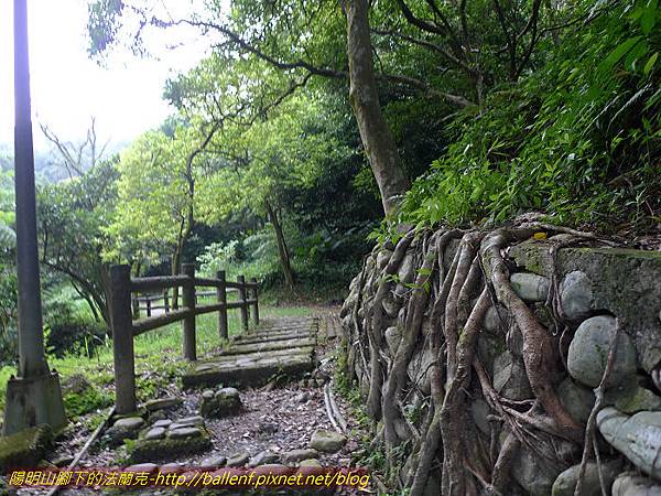 P1300516.jpg P1300516.jpg