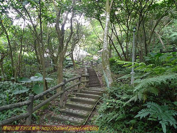 P1300517.jpg P1300517.jpg