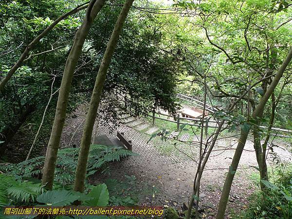 P1300526.jpg P1300526.jpg