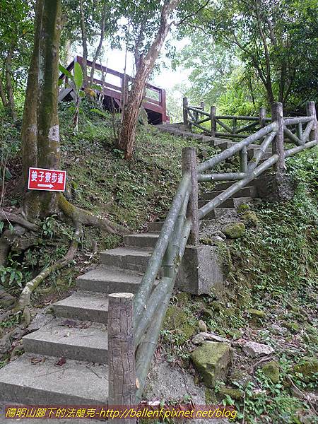 P1300529-1.jpg P1300529-1.jpg