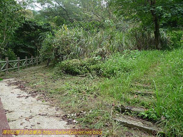 P1300530.jpg P1300530.jpg