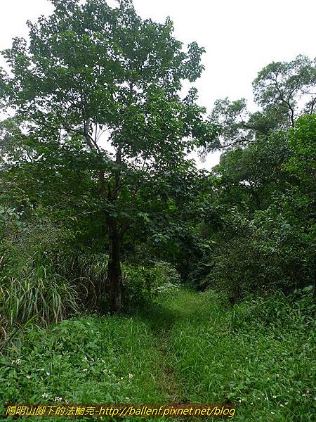 P1300531.jpg P1300531.jpg