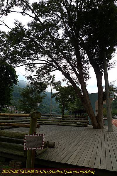 P1300633.jpg P1300633.jpg